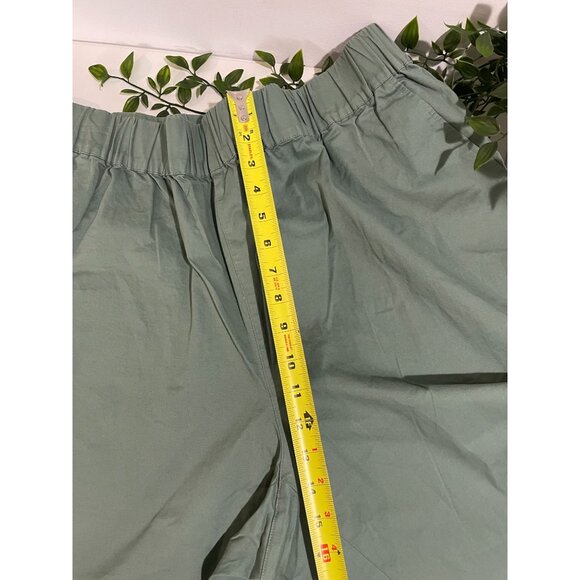 NWT On 34th Trendy Plus Size Pull-on Chino Pants New Pale Sage Size 2X - Picture 10 of 13